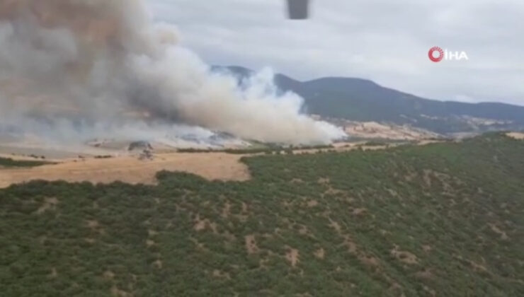 Bursa’da ormanlık alanda yangın çıktı