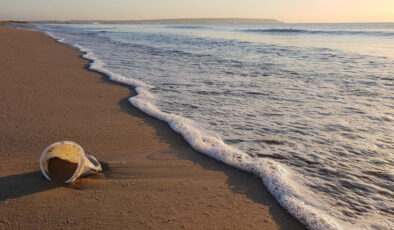 Çevreyi kirletenlere ceza yağdı: 6 ayda 2,6 milyar TL ceza kesildi