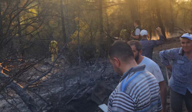 Denizli’de çıkan orman yangınının nedeni belirlendi