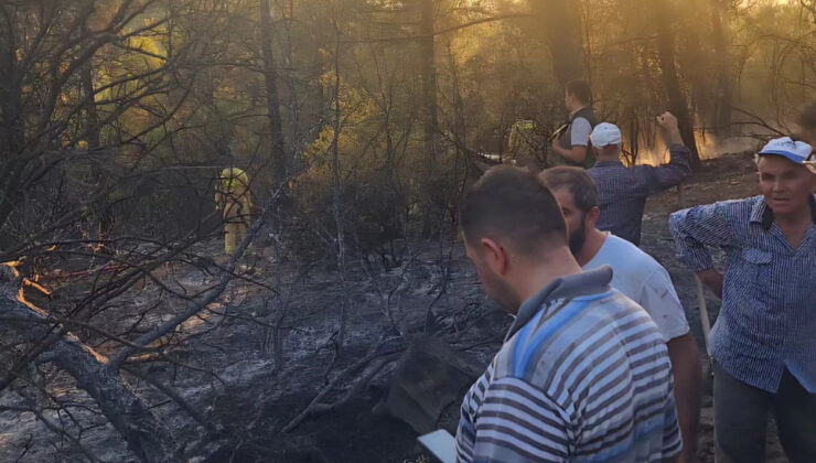 Denizli’de çıkan orman yangınının nedeni belirlendi