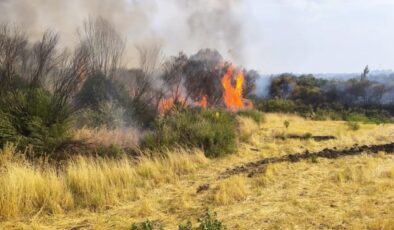 Diyarbakır’da ormanlık alana sıçrayan yangın söndürüldü