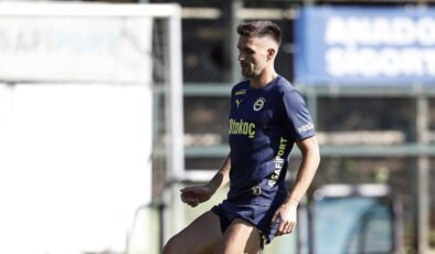 Dusan Tadic, Sırbistan’a dönüyor