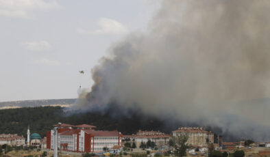 Edirne’de makilikte çıkıp tarlaya sıçrayan yangında son durum