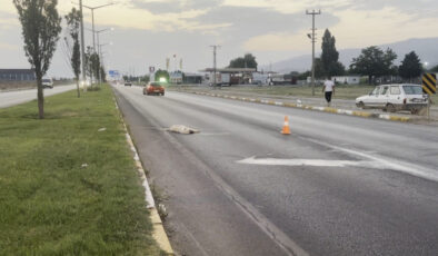 Erzincan’da bir köpek telef olan arkadaşının başından ayrılmadı