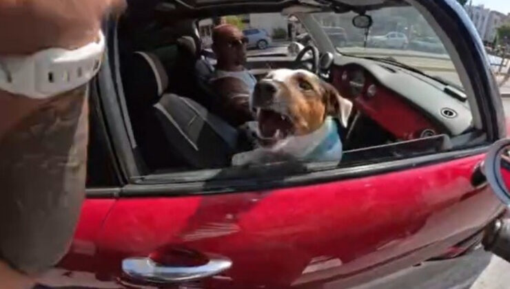 Eskişehir’de sevdiği köpek saldırdı