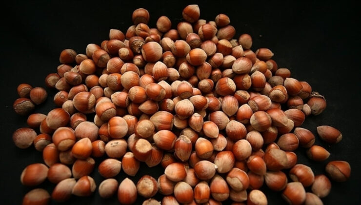 Fındık ihracatından 7 ayda 1,3 milyar dolar