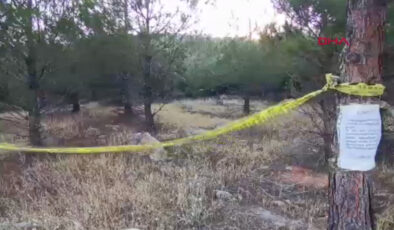 Gaziantep’te orman yangınları ile çaba: Girişler yasaklandı