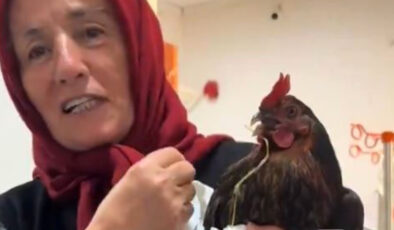 Giresun’da hastanede enteresan anlar: Boğazına iğne kaçan tavuğuna röntgen çekilmesini istedi