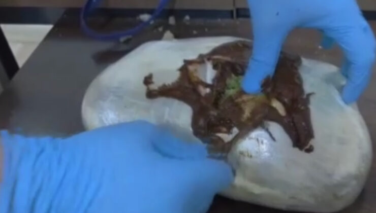 Hatay’da şehirlerarası otobüste seyahat eden yolcunun yastığından uyuşturucu çıktı