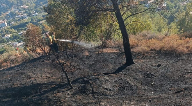 Hatay’daki orman yangınında son durum