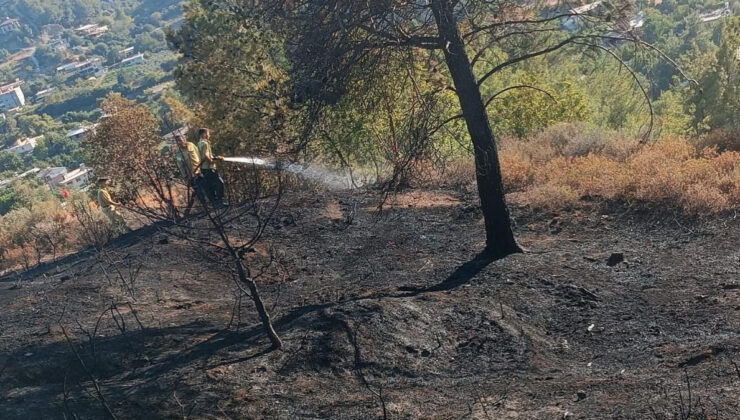 Hatay’daki orman yangınında son durum