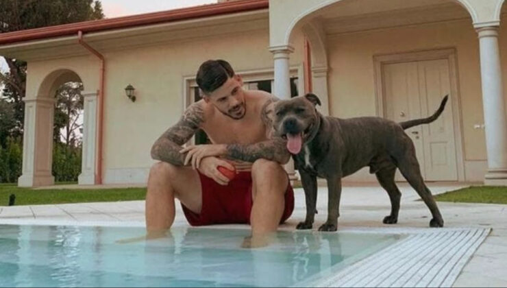 İspanyol futbolcunun cinsel organını köpek ısırdı: Hastanelik oldu…