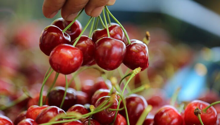 İstanbul’da kiraz pahalılığı