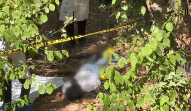 İstanbul’da ormanlık alanda başına poşet geçirilmiş erkek cesedi bulundu