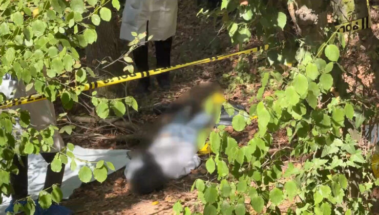 İstanbul’da ormanlık alanda başına poşet geçirilmiş erkek cesedi bulundu