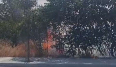 İstanbul’da otluk alandaki yangın büyümeden denetim altına alındı