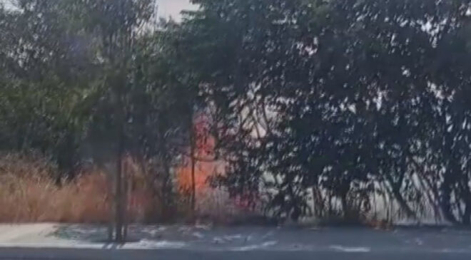 İstanbul’da otluk alandaki yangın büyümeden denetim altına alındı