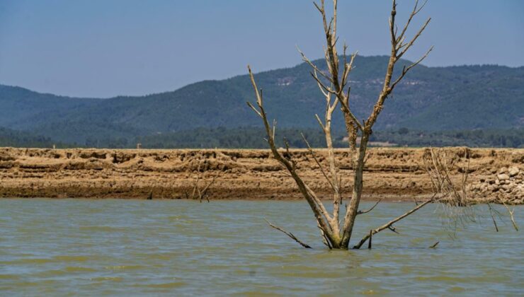 İzmir’de su tasarrufu daveti: Barajlar alarm veriyor