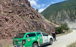 Jandarma paylaştı: Dağ keçilerini görebildiniz mi