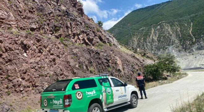 Jandarma paylaştı: Dağ keçilerini görebildiniz mi