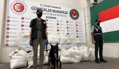 Kapıkule’de 3 tırda 179 kilo uyuşturucu ele geçirildi