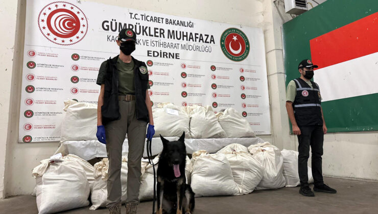 Kapıkule’de 3 tırda 179 kilo uyuşturucu ele geçirildi