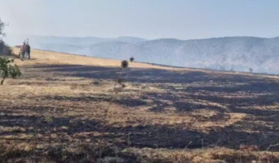Karabük’te çıkan anız yangınında son durum: Denetim altına alındı