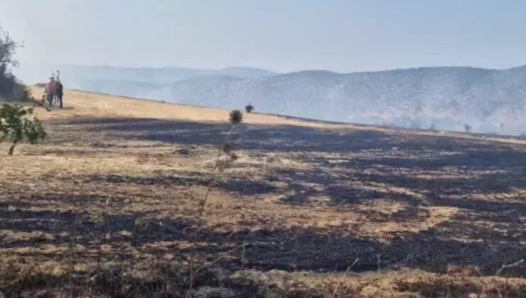 Karabük’te çıkan anız yangınında son durum: Denetim altına alındı