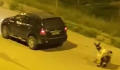 Kars’ta reaksiyon çeken olay: Eşeği arabanın ardına bağlayıp sürükleyerek götürdü