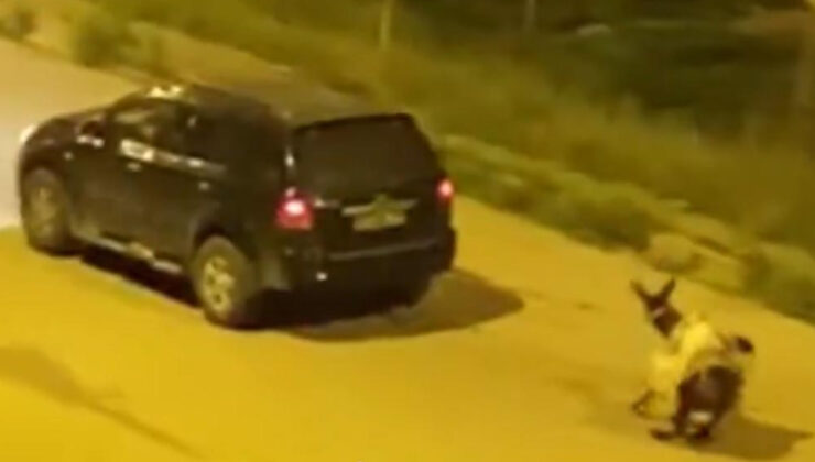 Kars’ta reaksiyon çeken olay: Eşeği arabanın ardına bağlayıp sürükleyerek götürdü