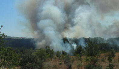Kırklareli’nde anızlık alanda yangın çıktı: Alevler ağaçlık alana sıçradı