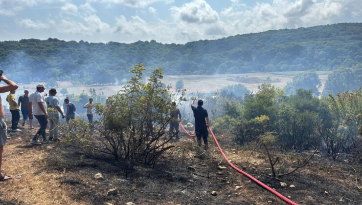 Kırklareli’nde çıkan orman yangını söndürüldü