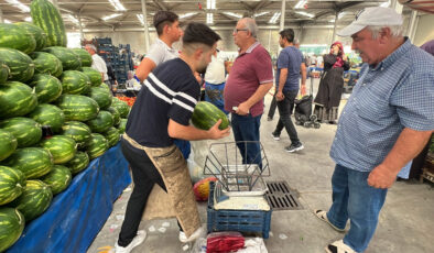 Konya’da yapay zeka ile karpuz seçimi