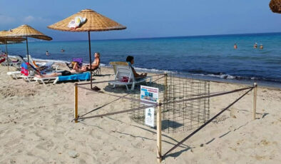 Kuşadası’nda yılın birinci caretta caretta yavruları sürpriz yuvadan çıktı