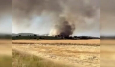 Kütahya’da orman yangını