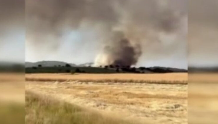 Kütahya’da orman yangını