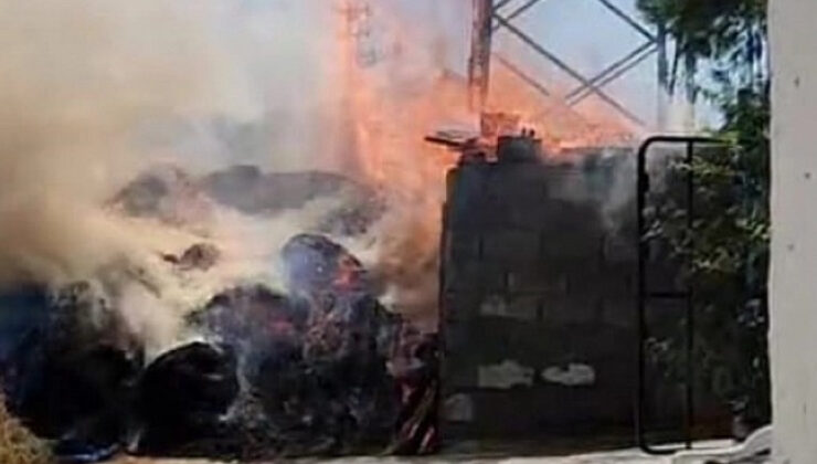 Malatya’da elektrik direğinden kopan kablo odunlukta yangın çıkardı