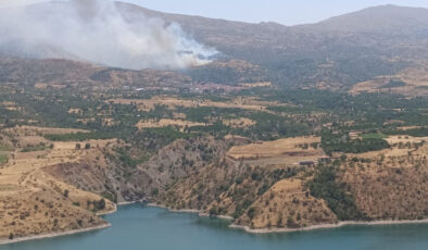 Malatya’da orman yangını paniği