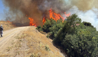 Manisa’da tarım toprağında yangın