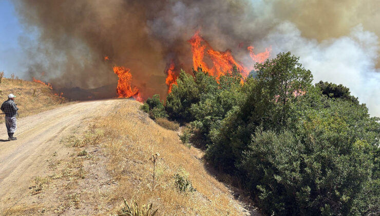 Manisa’da tarım toprağında yangın