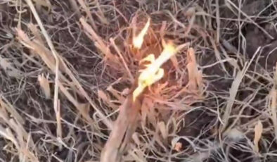 Mardin’de anız yakan şahıs yakalandı