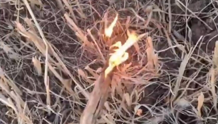 Mardin’de anız yakan şahıs yakalandı