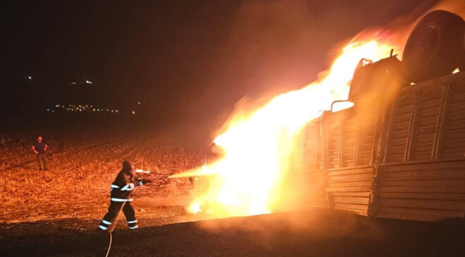 Mardin’de devrilerek alev alan tırın şoförü yanarak öldü
