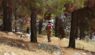 Mehmetçik orman yangınlarına karşı alanda nöbette