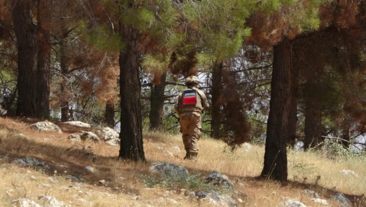 Mehmetçik orman yangınlarına karşı alanda nöbette