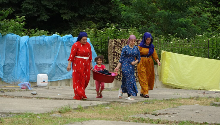 Mevsimlik fındık çalışanları Ordu’ya ulaştı