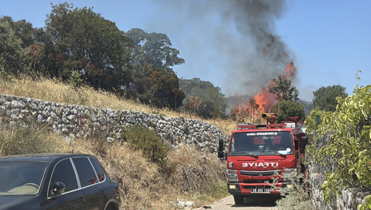 Muğla’da bu yıl çıkan orman yangınlarının yüzde 88’i insan kaynaklı