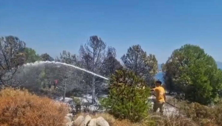 Muğla’da maki yangını çıktı
