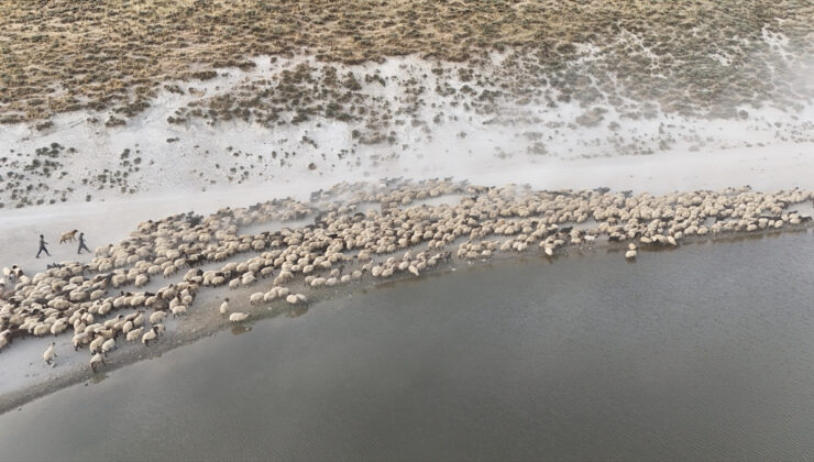 Nemrut Dağı, küçükbaş hayvanların yaz günlerinde serinleme noktası