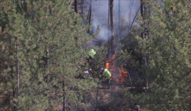 Orman yangını dumanı ziyanlı